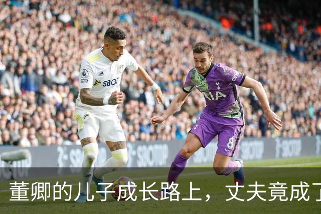 董卿的儿子成长路上，丈夫竟成了“拖油瓶”？